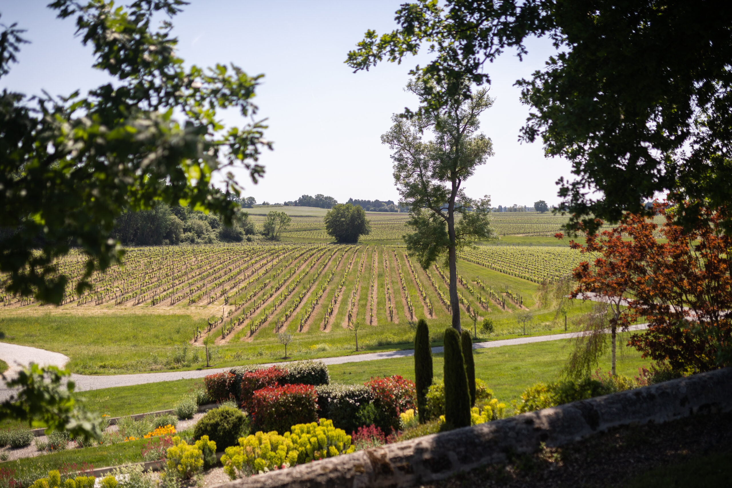 environnement vignoble saint-emilion